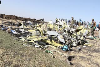 Private jet crashes in Virginia, America, 5 killed (Photo IANS)