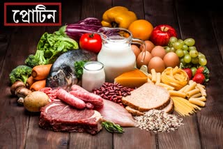 Protein Food News