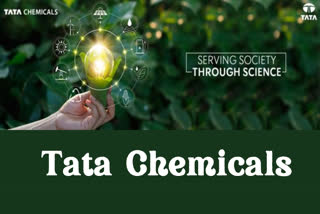 Tata Chemicals (X)