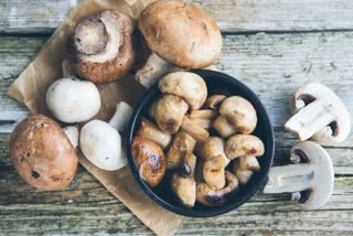 Health Benefits Of Mushrooms News