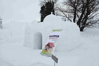 Kashmir's Snow Artist
