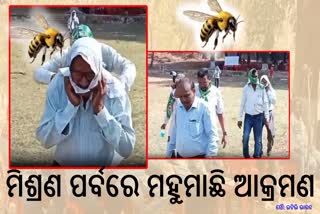 Bee Attack During JMM Mishran Parba