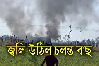 Major accident in Ghazipur, fire broke out in the bus after touching the hyphenation line, many people reported burnt