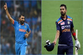 Jay Shah Comments On Mohammad Shami And KL Rahul