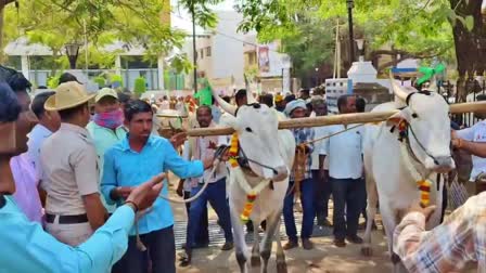 Farmers besiege Belgaum Irrigation Department office with bulls