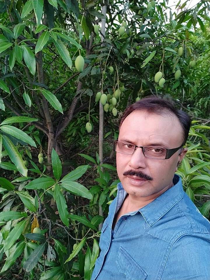 jabalpur mallika Mango farmer successfull story