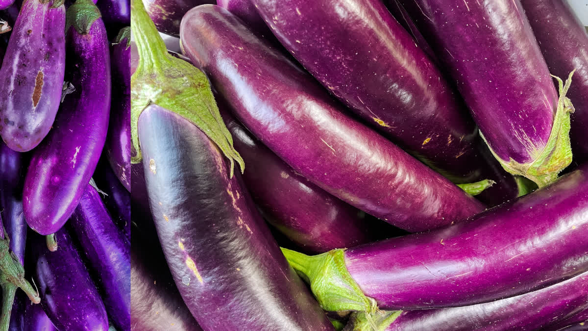 Who should not eat brinjal? Know from experts which foods should not be eaten with brinjal