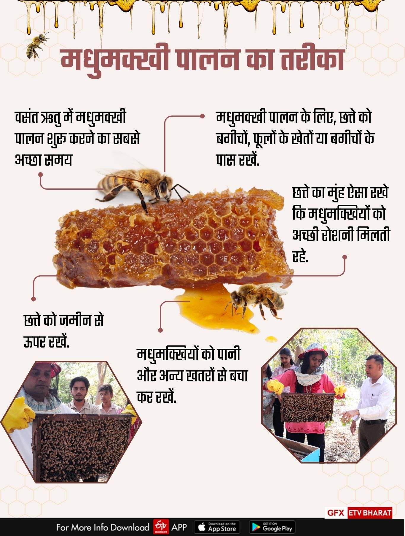Beekeeping