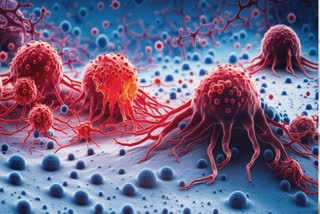 CANCER CAUSING DAILY ITEMS  TOP CANCER CAUSING THINGS IN HOME  HOUSEHOLD ITEMS THAT CAUSE CANCER  THINGS THAT CAUSE CANCER AT HOME