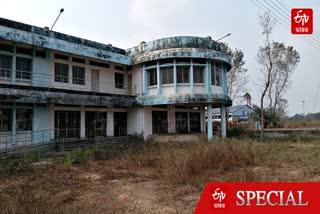 pineapple-development-and-research-centre
