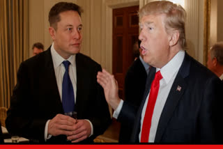 Donald Trump and Elon Musk