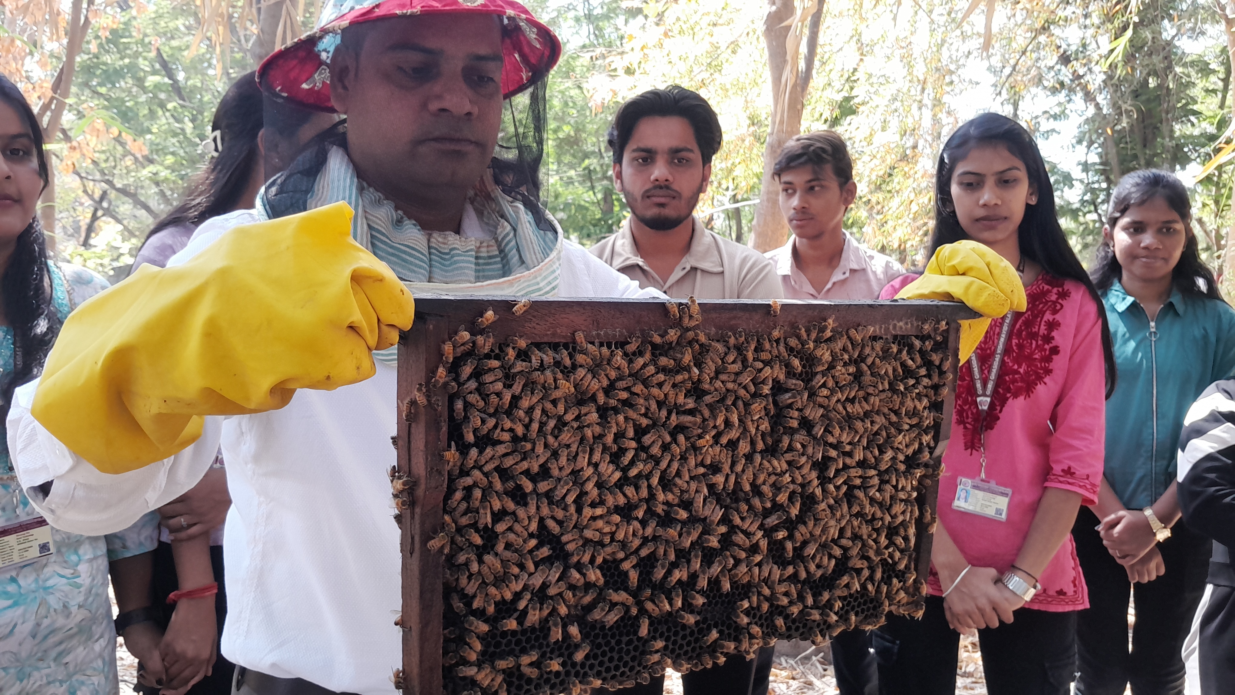 Beekeeping