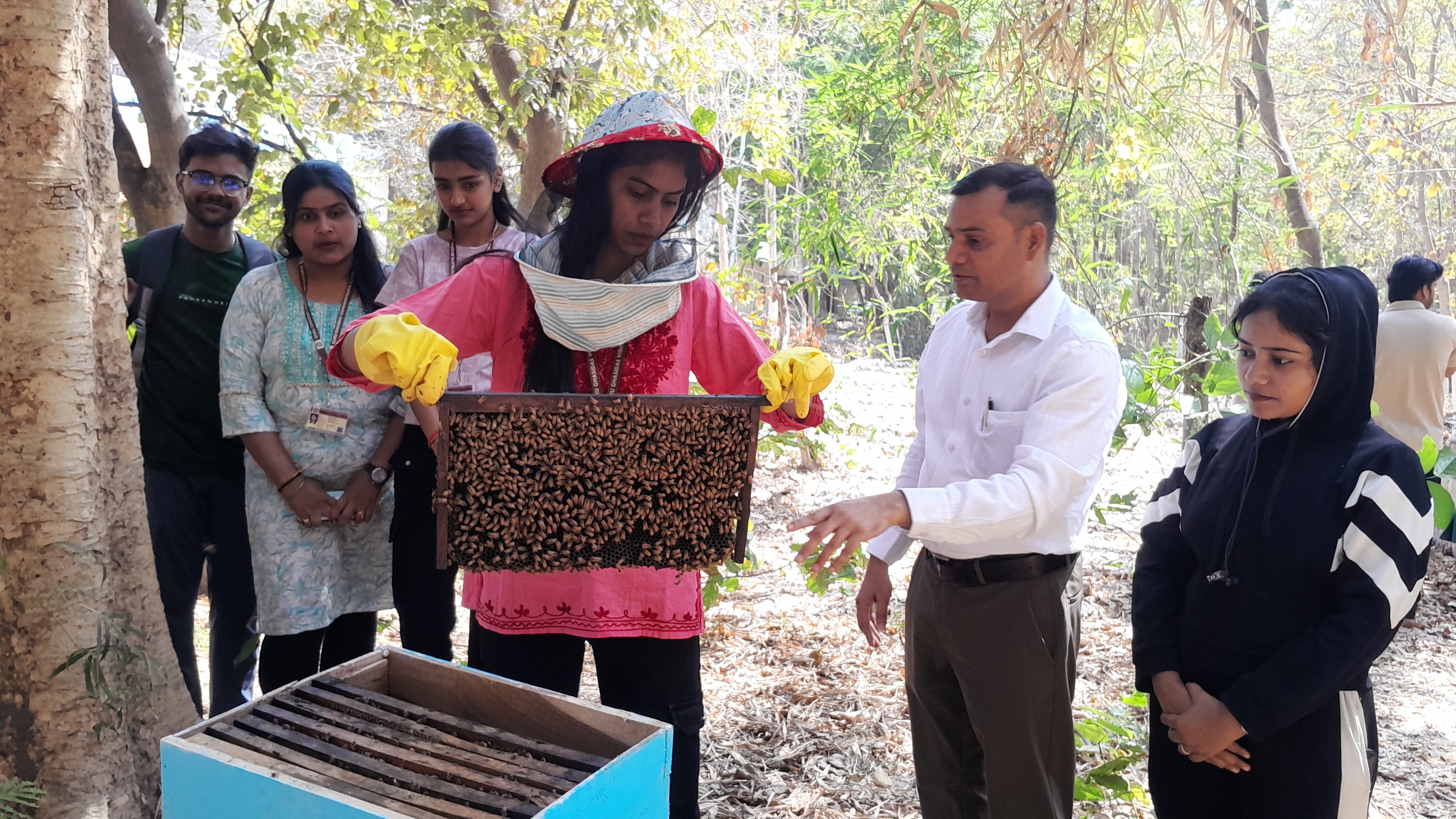 Beekeeping