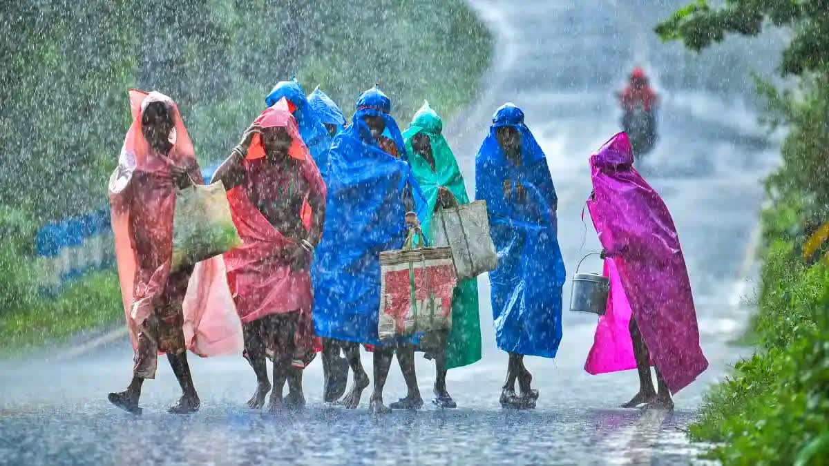 WEATHER UPDATE  കാലാവസ്ഥ മുന്നറിയിപ്പ്  മഴ മുന്നറിയിപ്പ്  KERALA RAIN ALERT