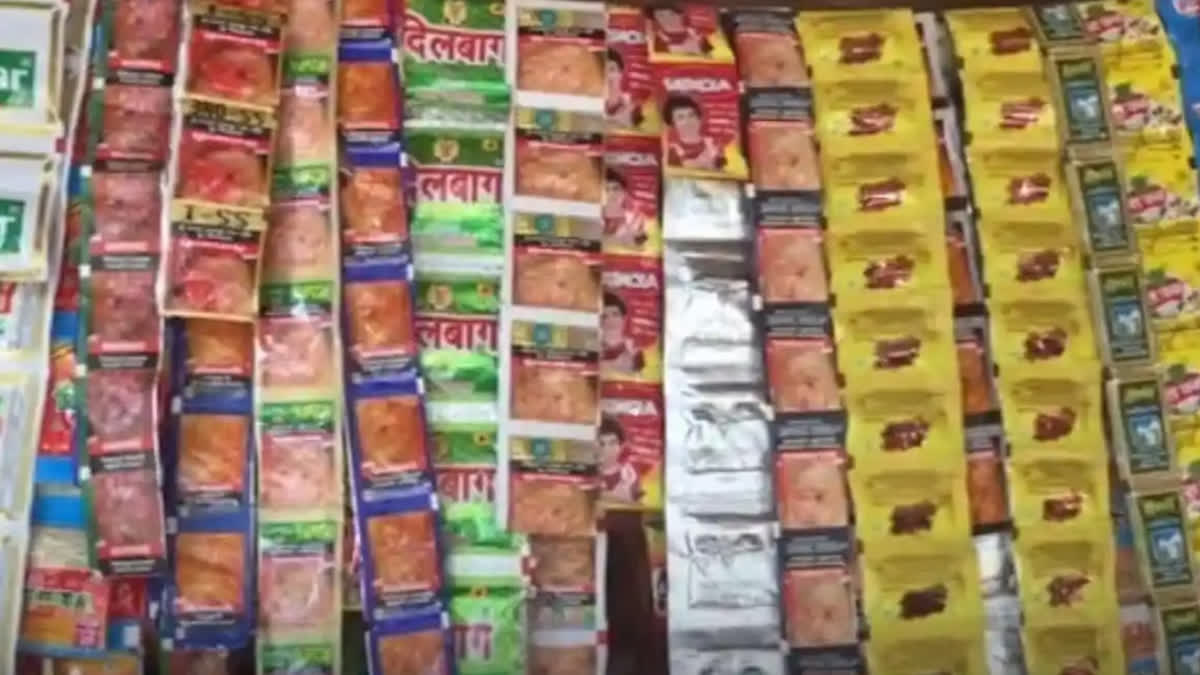 Government extends deadline for registration and return filing for pan masala and gutkha companies