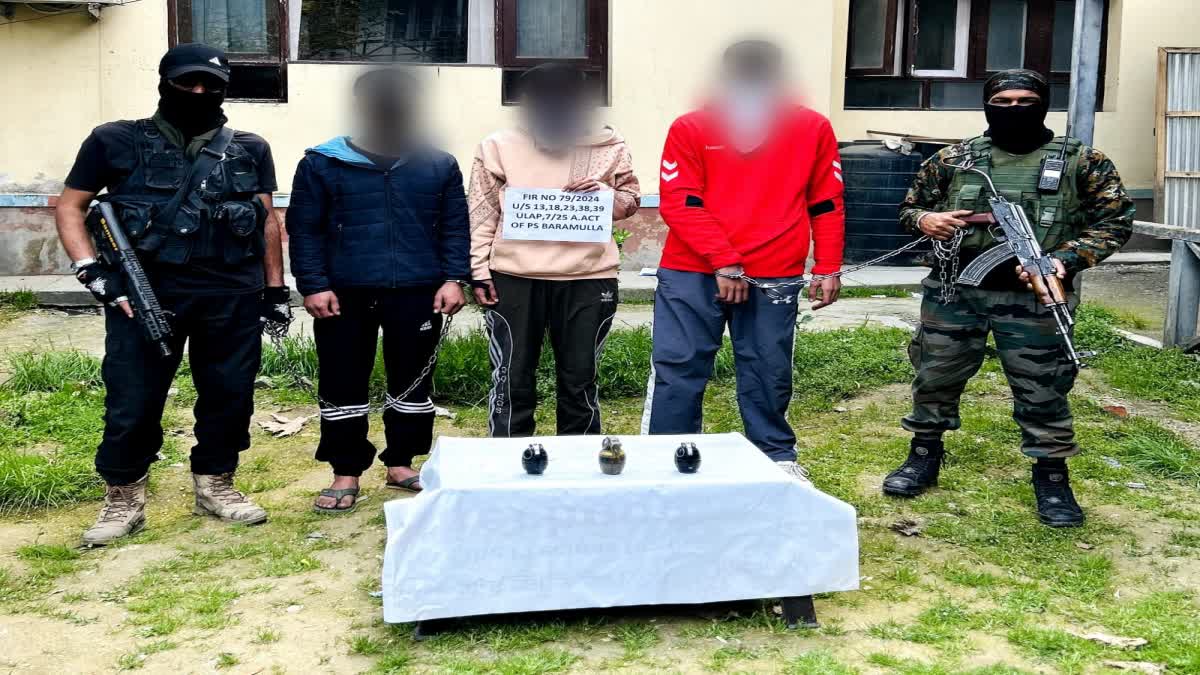 militant-module-busted-in-baramulla-three-arrested-says-police