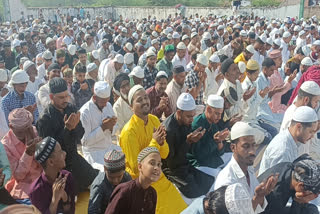 Eid celebrated with great enthusiasm in Rajasthan