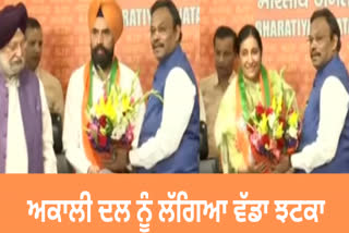 Sikander Maluka's son-in-law joined BJP, preparing to contest the election against Badal's daughter-in-law from Bathinda!