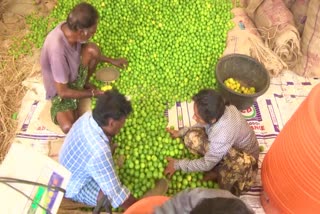 Lemon Farmer Problems in Andhra Pradesh