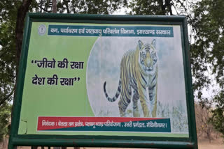 Efforts to Save Tiger Habitat of Palamu through Azolla