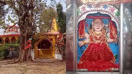 MATA TEMPLE HATHKHOH VILLAGE DEORI