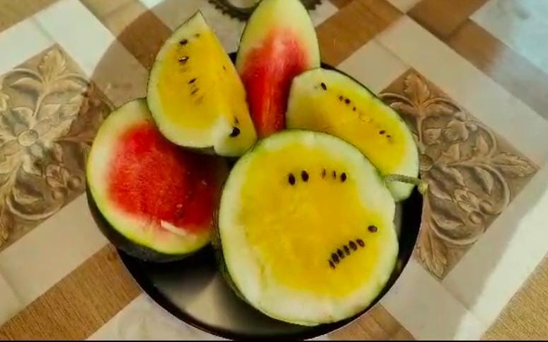 colorful watermelon