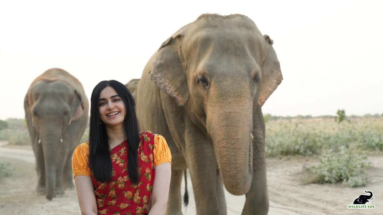 Film actress Ada Sharma reached Mathura Elephant Conservation Center Agra Bear Conservation Center