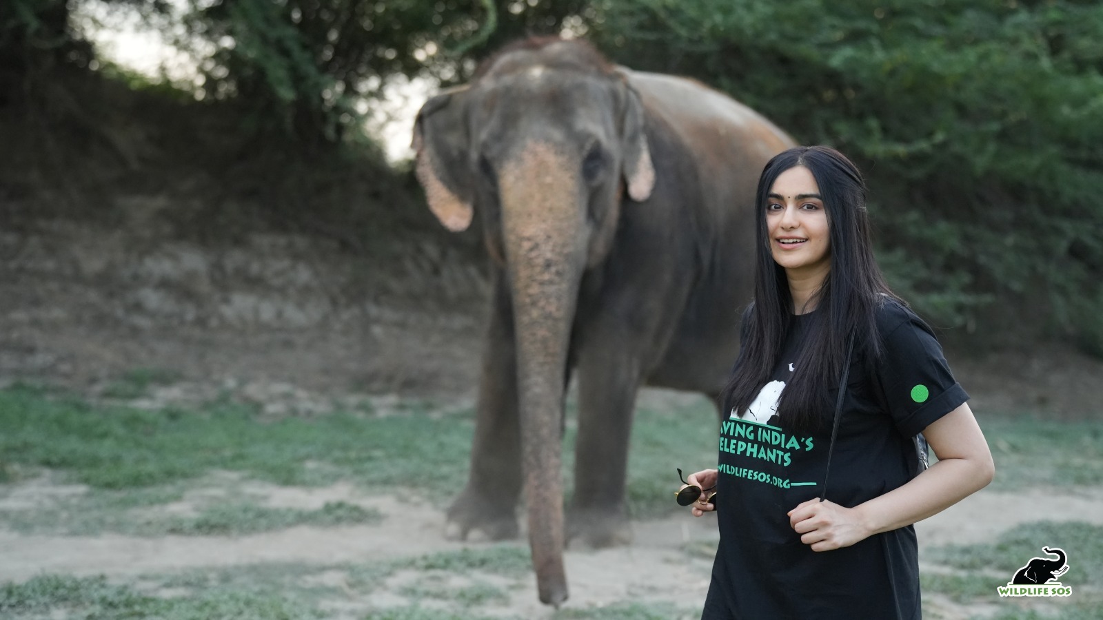 Film actress Ada Sharma reached Mathura Elephant Conservation Center Agra Bear Conservation Center