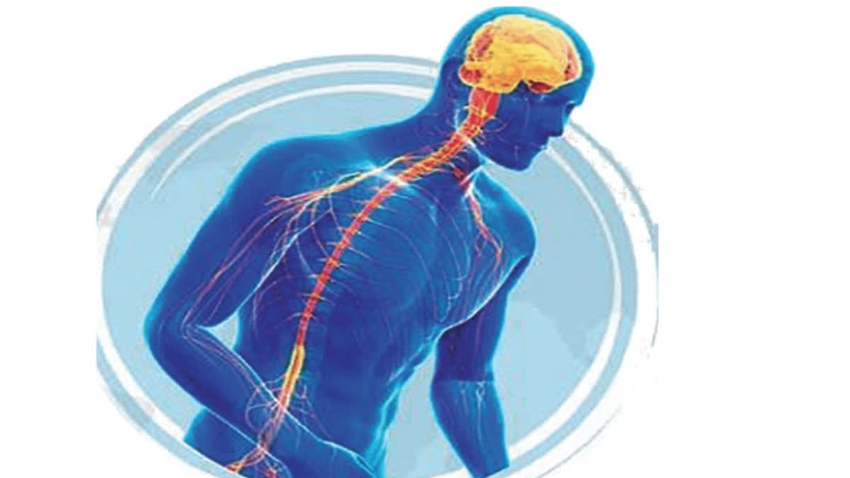 parkinsons-the-disease-that-steals-lifes-rhythm