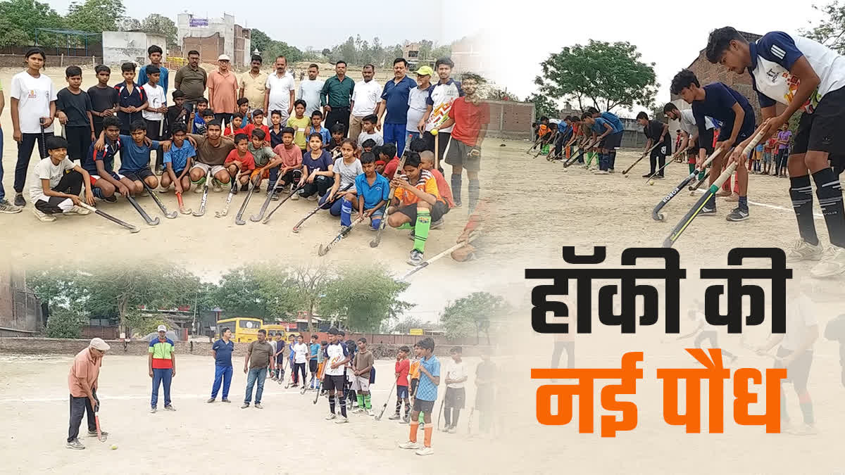 Etv Bharat