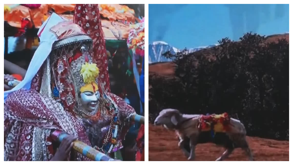 NANDA DEVI RAJJAT YATRA 2026