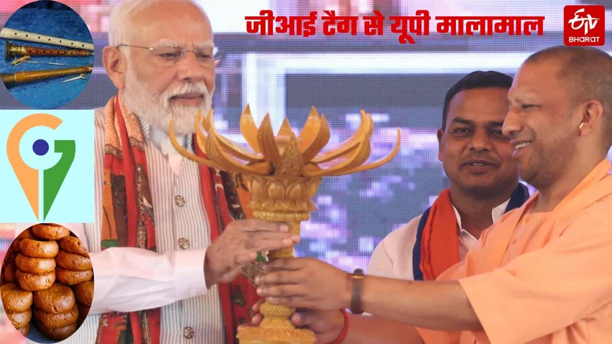 Etv Bharat