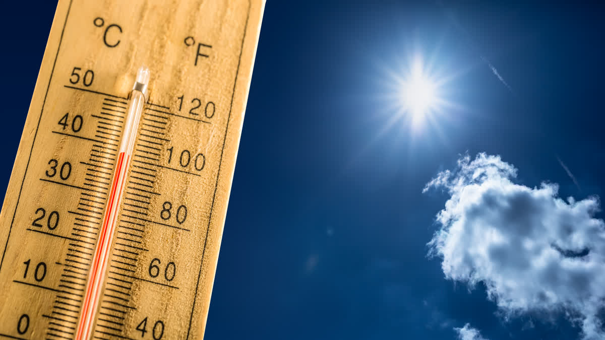 MP health dept heatwave guidelines