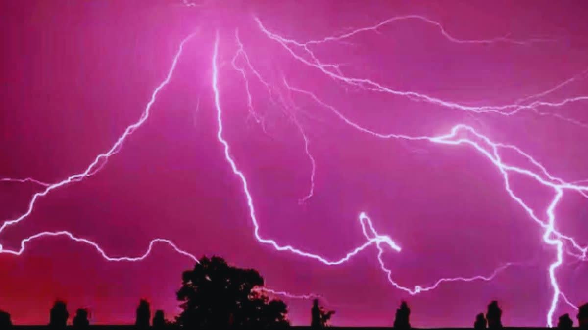 WEATHER FORECAST