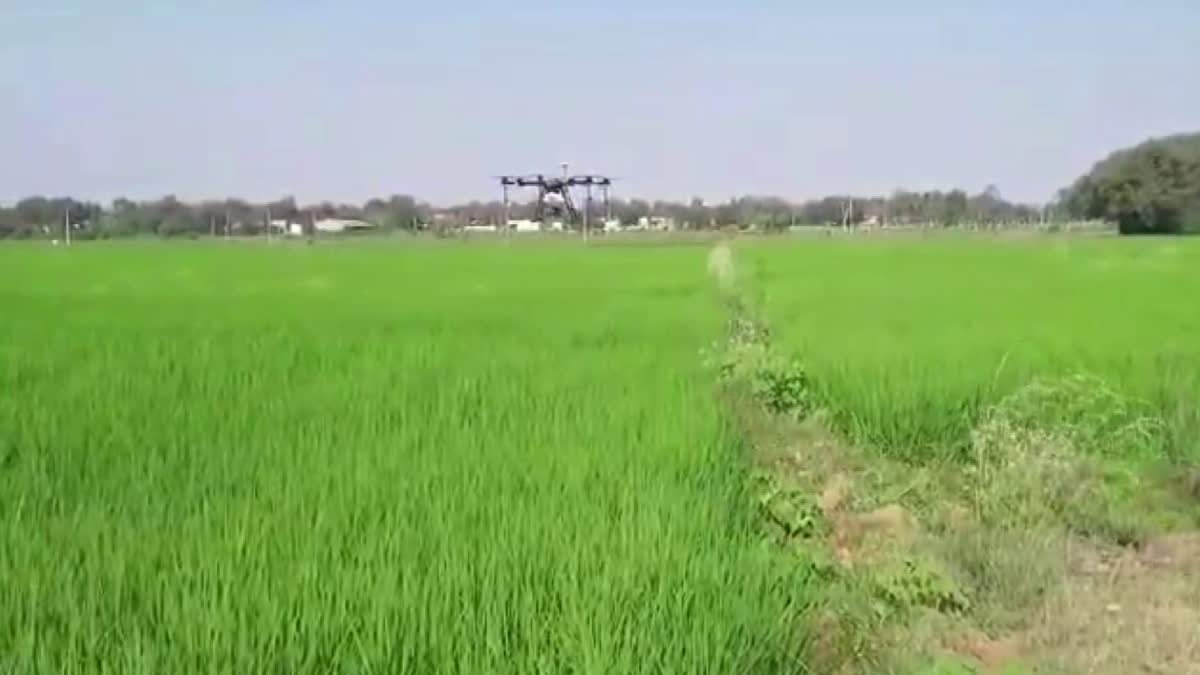 Paramparagat Krishi Vikas Yojana