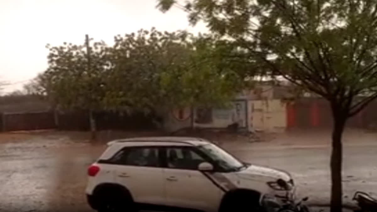 View of rain in Nagaur