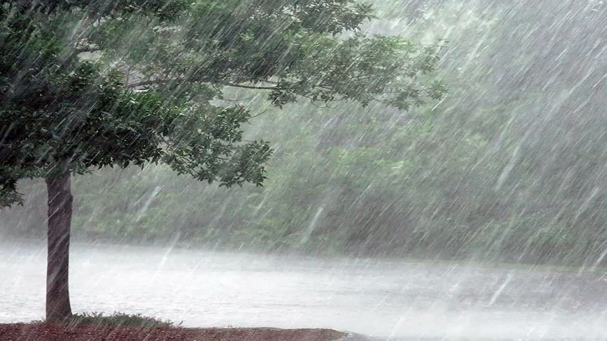 Rain In Bihar