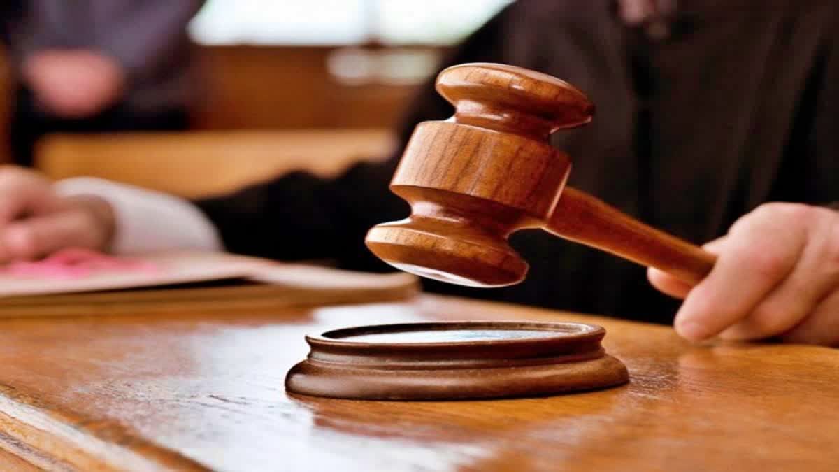 COURT REMAND ON TDP ACTIVIST