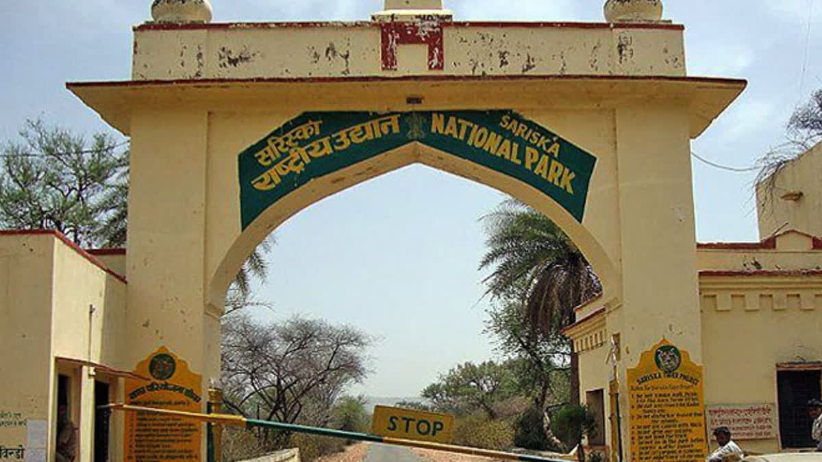Sariska Tiger Reserve
