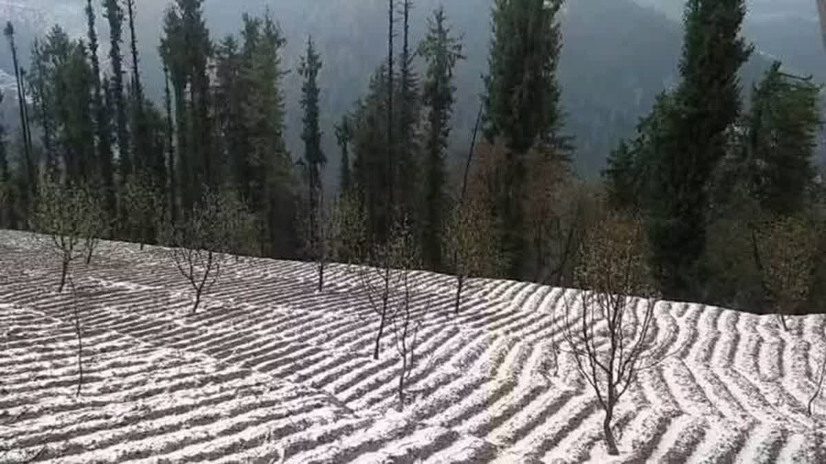 हिमाचल में बारिश और बर्फबारी का दौर शुरू