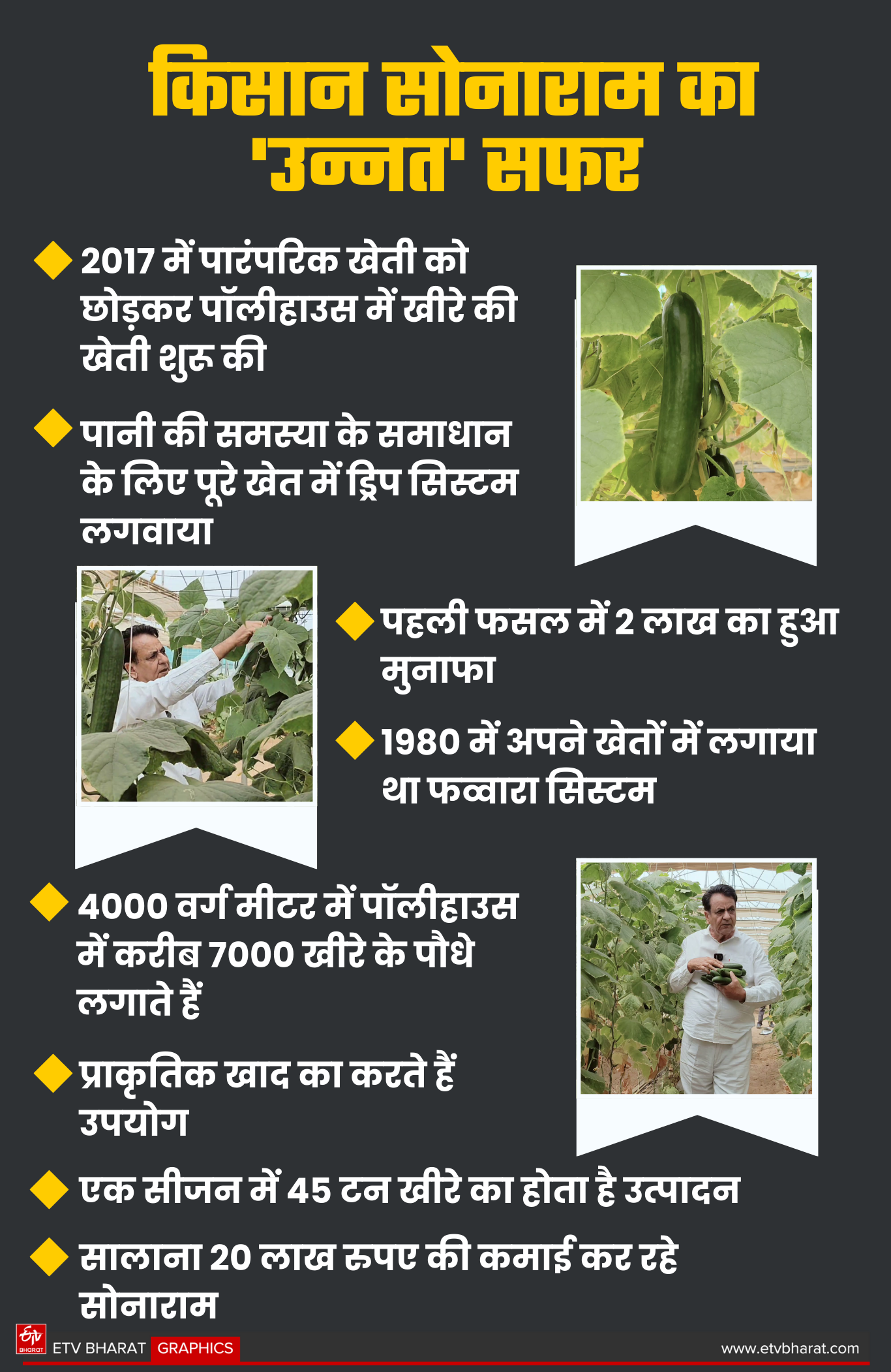उन्नत तकनीक से खीरे की खेती