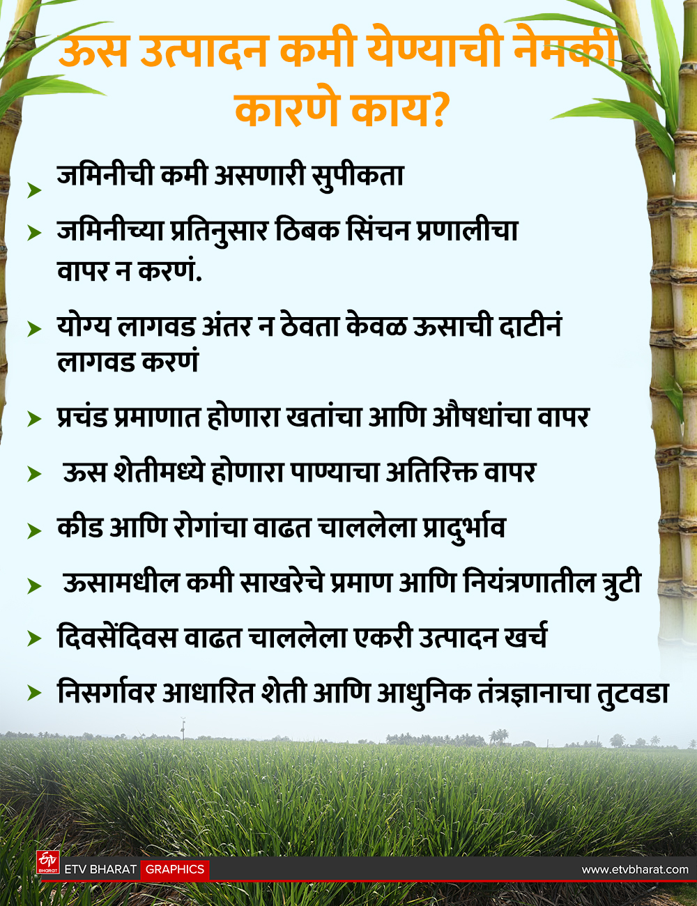 AI sugarcane farming