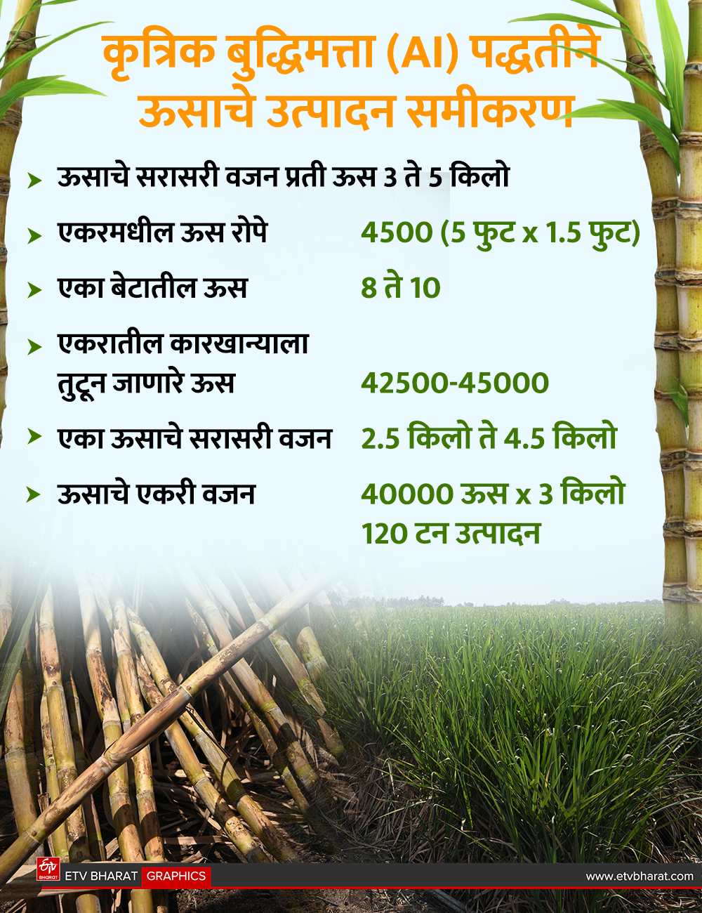 AI sugarcane farming