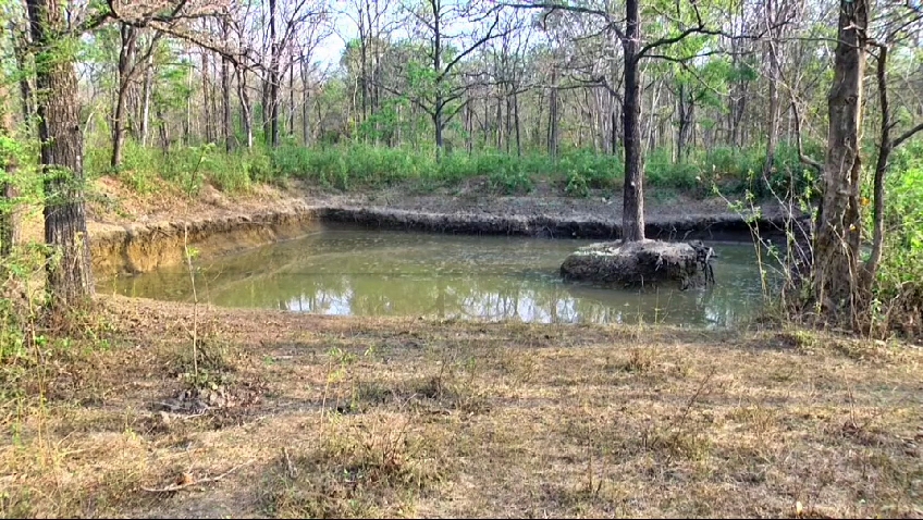 Construction of a water pond in the forest