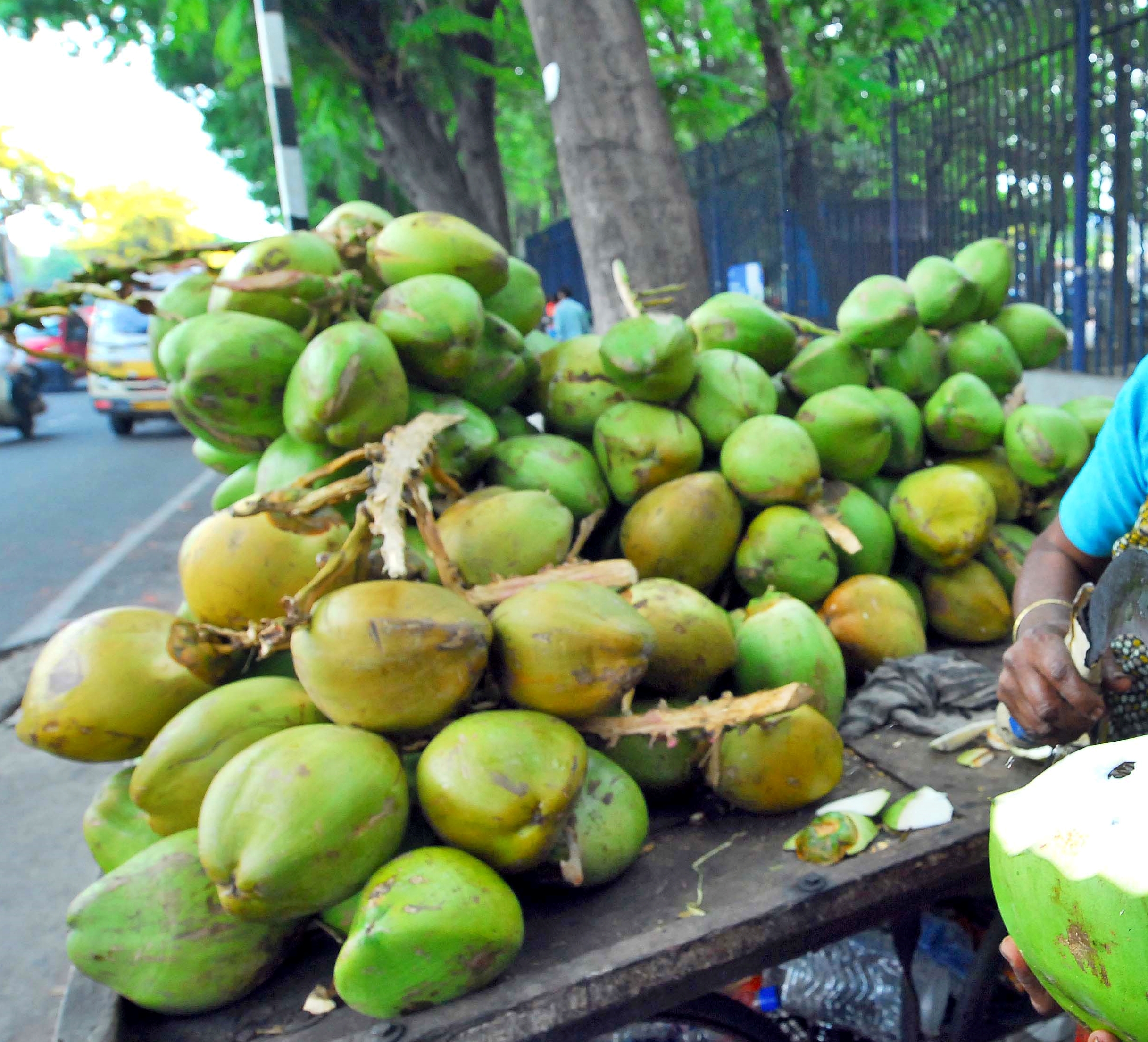 HIGH WATER COCONUT BUYING TIPS