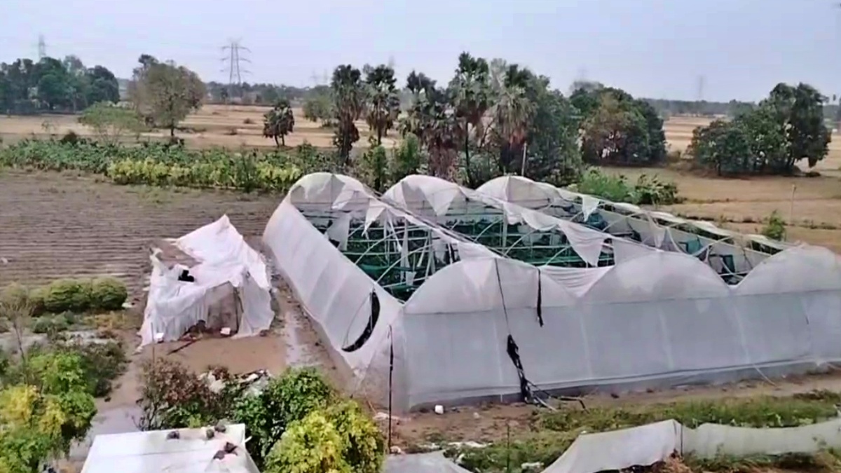 બિહારમાં વીજળીનો કહેર