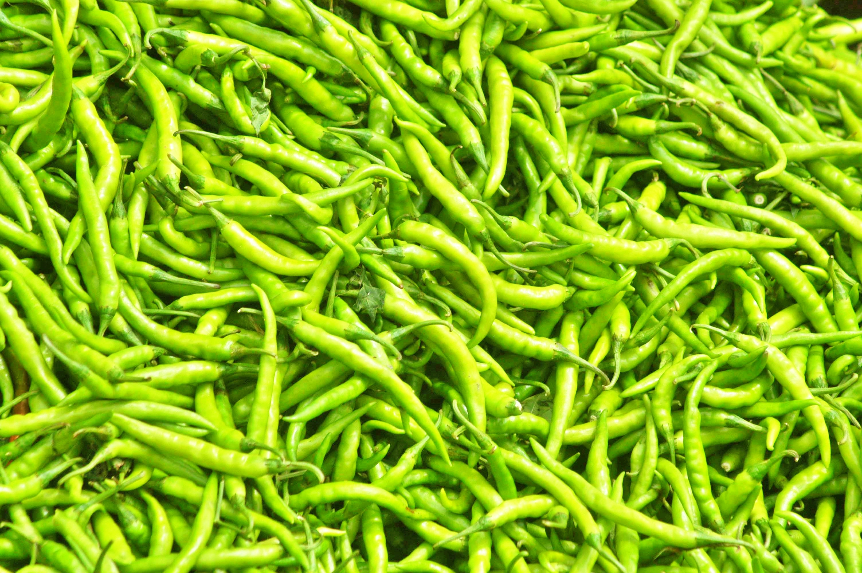 green_chilli_powder_recipe