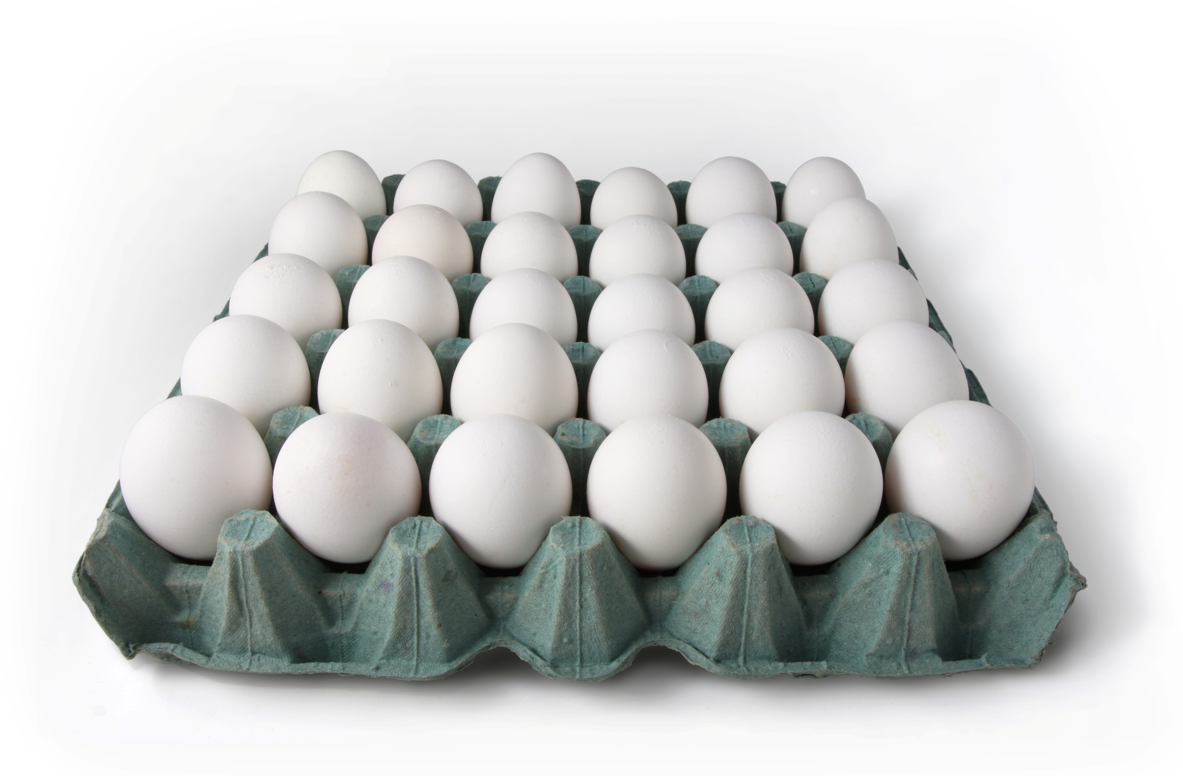Eggs