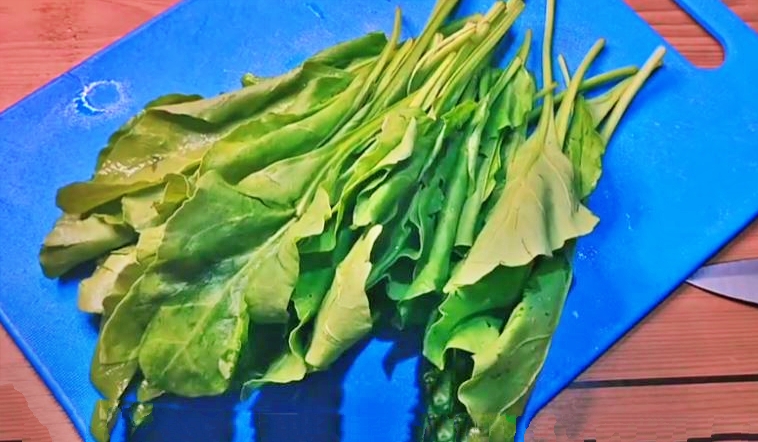 palak_phulka_recipe_in_telugu