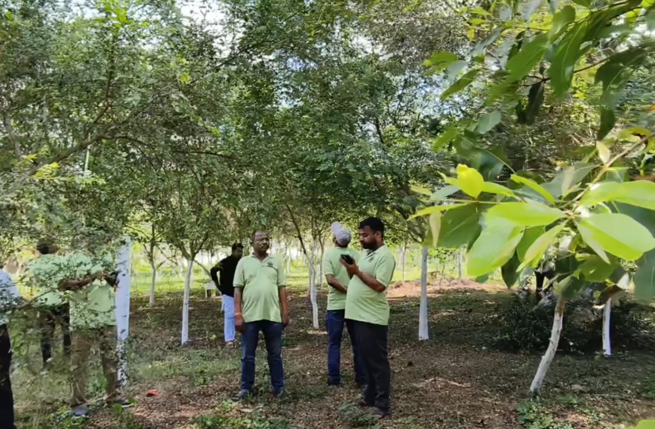 ଯଶୁଆପୁର ଜଙ୍ଗଲ ସୁରକ୍ଷା ସମିତି